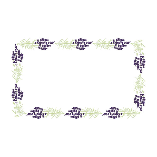 薰衣草图片下载