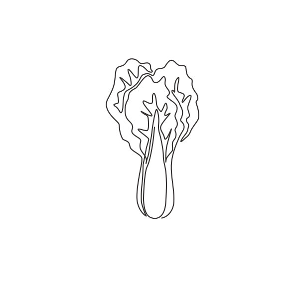 一条连续的线画出整体的健康图片下载