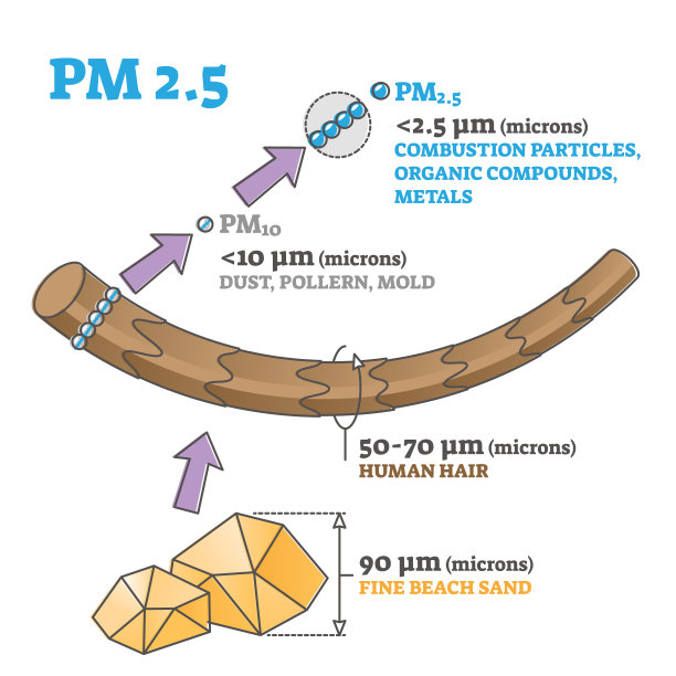 pm2.5颗粒大小或尺寸与毛发和沙子的轮廓图相比图片下载