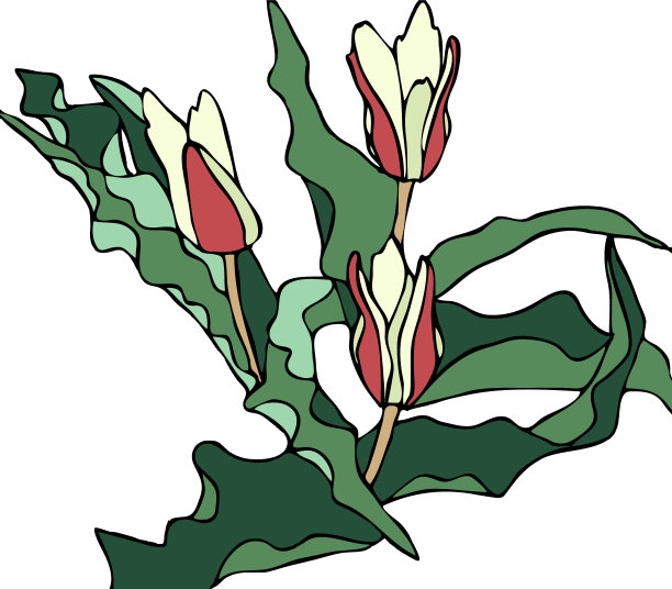 涂色页与程式化的郁金香花图案。卡通风格。剪贴画海报，t恤印花，服装。用于贺卡、标签、贴片或贴纸。插图。马赛克、镶嵌或彩色玻璃。图片下载