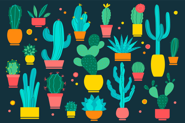 仙人掌涂鸦集图片下载