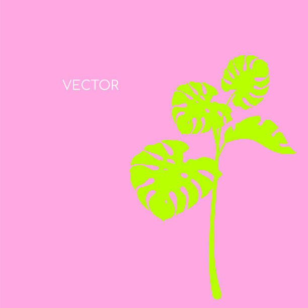 怪兽树枝平色矢量背景。黄色的槐树枝在粉红色的背景下。植物的叶子。热带夏季社交媒体发布模拟。异国情调的度假网站横幅模板图片下载