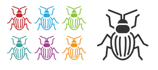 黑金龟子图标孤立在白色上图片下载