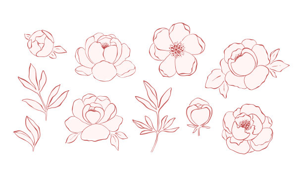 粉红色牡丹花剪纸收集图片下载