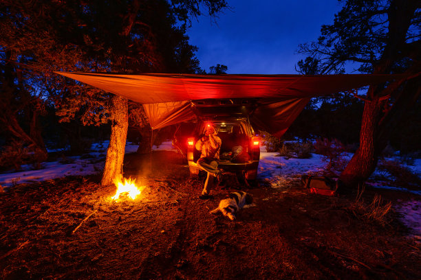 在冬天用防水布在丛林中露营图片下载