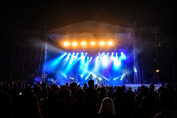 欢乐的人们在露天音乐会上跳舞图片下载