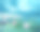 美丽的夏日风景，粉红色的百合花。湖与睡莲花。池塘里盛开的睡莲花素材图片