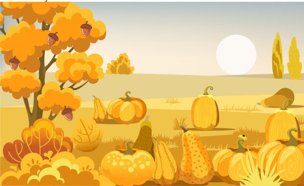 田野里有南瓜丛和橡子树图片下载