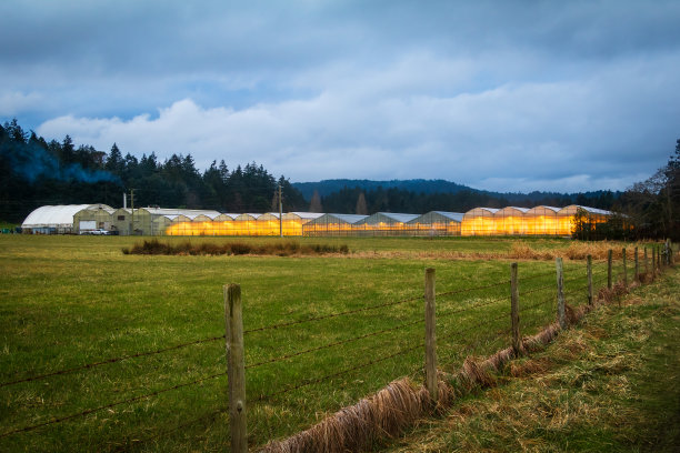 黄昏时发光的温室图片下载