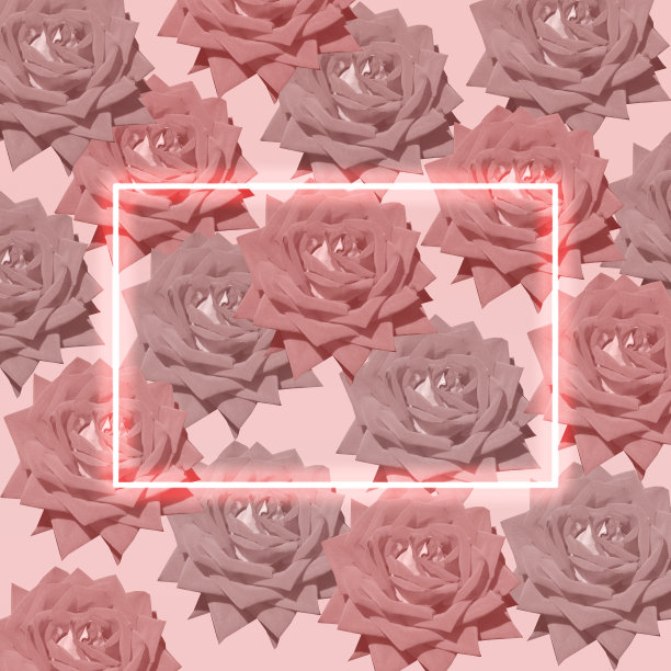 玫瑰和粉色霓虹框架，背景图片下载