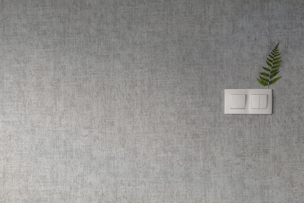 灰色墙壁上的现代摇杆开关。一根干燥的蕨类树枝被用作装饰元素。背景上的主题为电力、安全、节能。图片下载