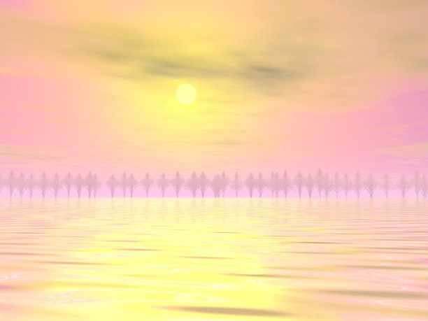 美丽的海洋和树木景观图片下载