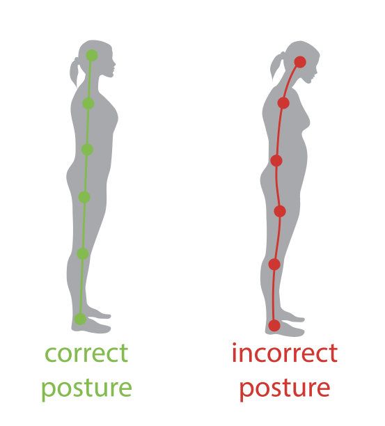 站立姿势端正，人格端正，脊柱骨骼健康。保健和医学插图图片下载