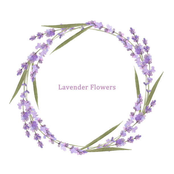 水彩薰衣草花环图片下载