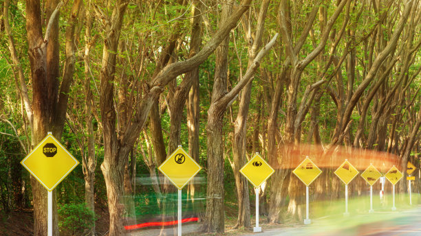 景观黄色交通标志在树木与灯光小径的道路两旁。图片下载