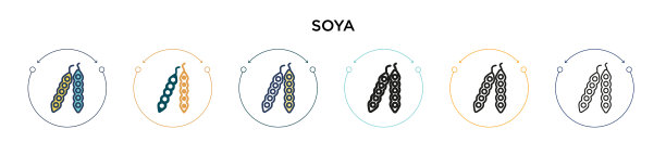 大豆图标在填充细线轮廓和描边图片下载