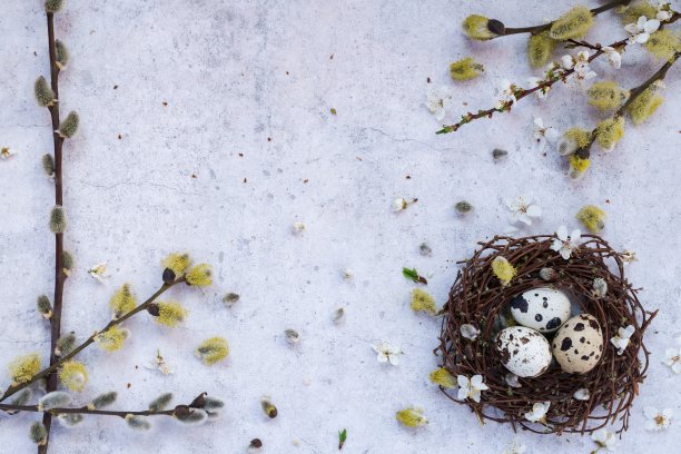 复活节的背景图片下载