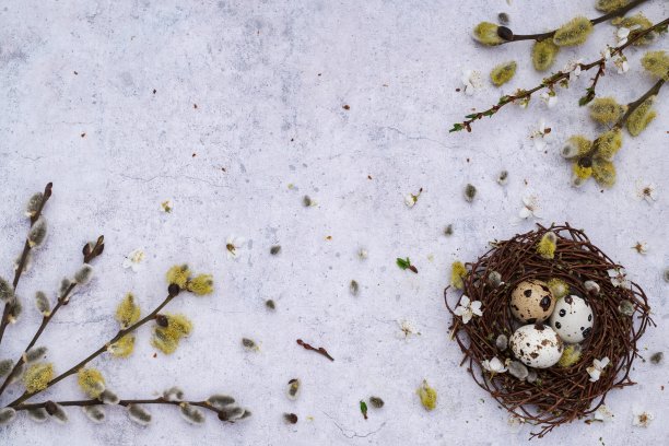 复活节的背景图片下载