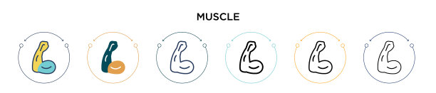 肌肉图标在填充细线和轮廓线图片下载