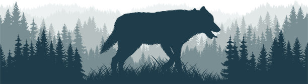 向量山脉森林林地背景纹理无缝模式灰狼图片下载