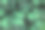 绿叶背景。时尚的热带树叶背景。植物叶片背景的全帧图像。热带丛林中树叶的绿色调。闪亮的叶子。图片可以使用墙纸桌面。图片下载