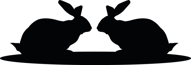 可爱的野生兔子动物自然的剪影图片下载