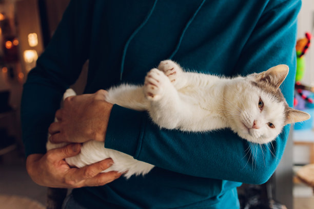 一个年轻人近距离抱着一只白猫。图片下载