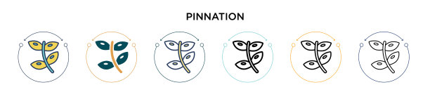 Pinnation图标在填充细线轮廓和图片下载