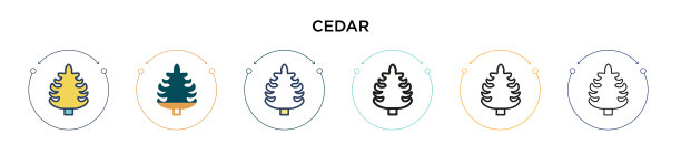 雪松图标在填充细线轮廓和描边图片下载