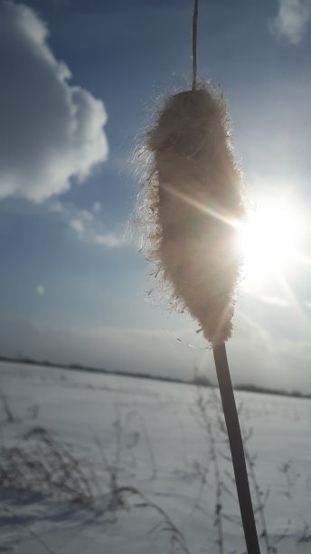 冬天的风景图片下载