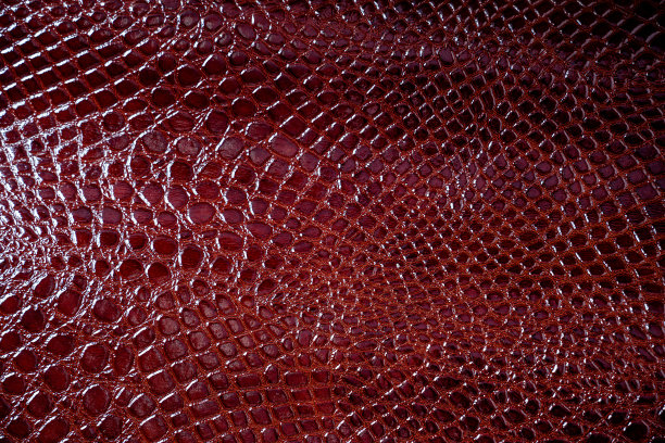 褐色皮革鳄鱼纹纹理图片下载