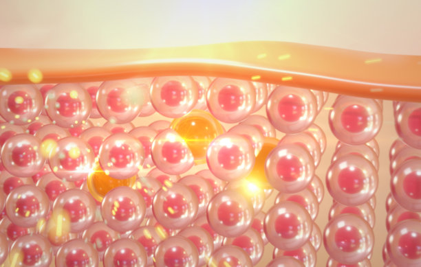 血清通过皮肤层，减少皮肤松弛的皮肤细胞。3 d渲染。图片下载