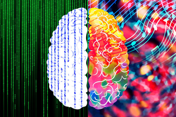 左右脑的功能是概念，分析能力和创造力。图片下载