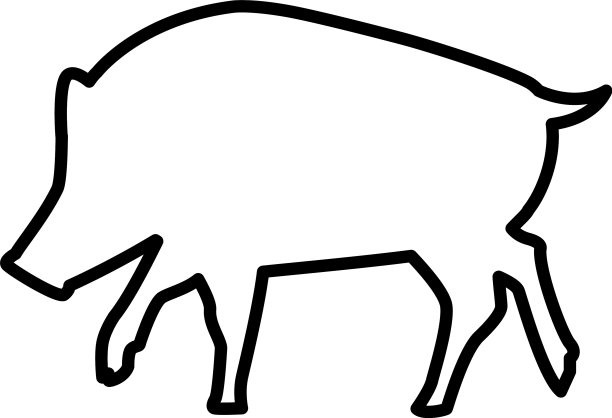 野生猪的动物自然剪影图片下载