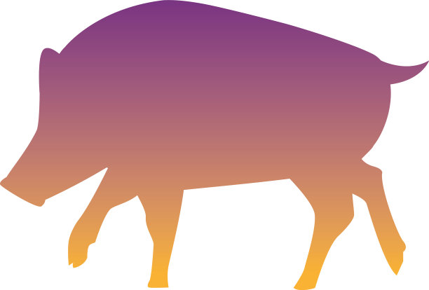 野生猪的动物自然剪影图片下载