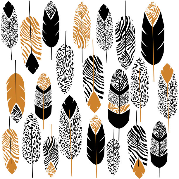 矢量无与伦比的装饰羽毛，部落设计。矢量插图。图片下载