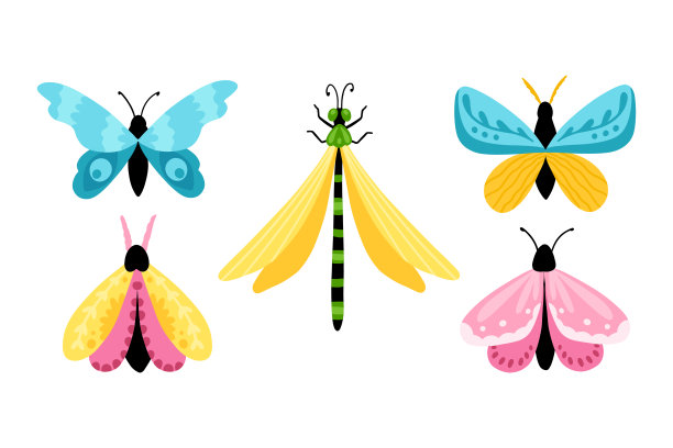蝴蝶。色彩鲜艳的手绘蝴蝶和蜻蜓在简单的卡通风格。孤立的白色背景。图片下载