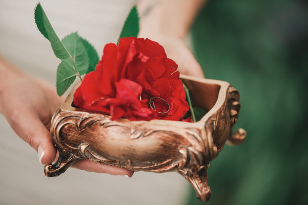 关闭了。新娘手里拿着玫瑰和结婚戒指图片下载