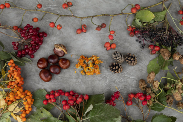 桌子上放着一家绿色药店的植物图片下载
