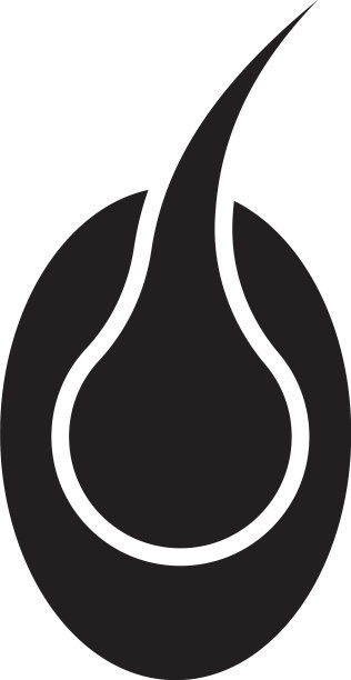 毛囊的象征图片下载