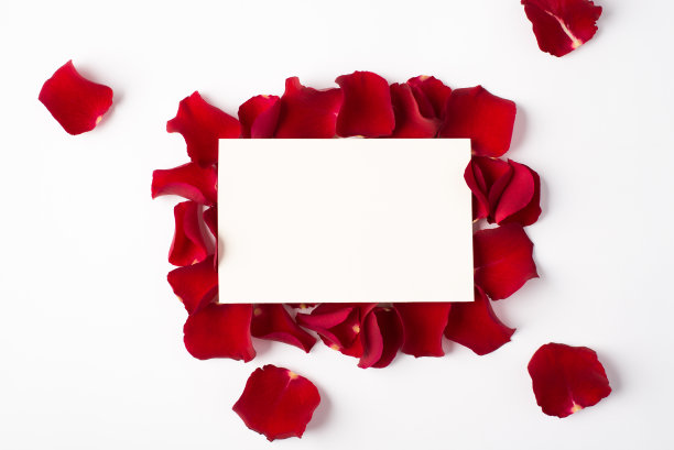 照片上方的玫瑰，空白纸和花瓣孤立在白色的背景图片下载