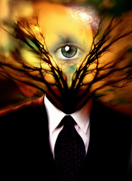 空衣服和树枝的树图片下载