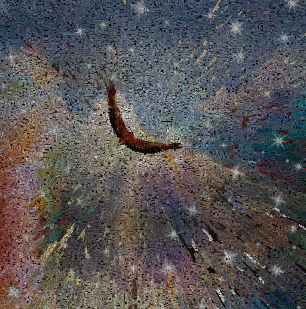 天空中的鹰图片下载