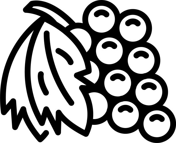 希腊新鲜葡萄图标轮廓风格图片下载