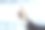 男性的手与抽象的虚拟邮政信封素描模糊的办公室背景，电子邮件和营销概念。双重曝光图片下载