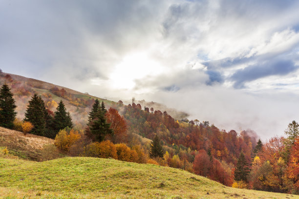时间流逝美丽的绿色自然和雾雾流在早晨的山与温和的阳光。秋天在乌克兰，喀尔巴阡山脉，Synevir pass图片下载