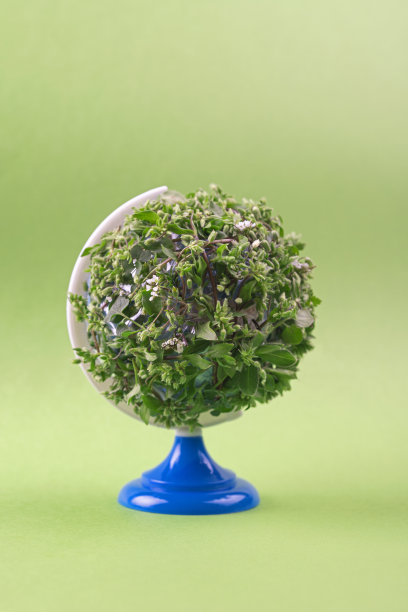 草绿色地球地球图片下载