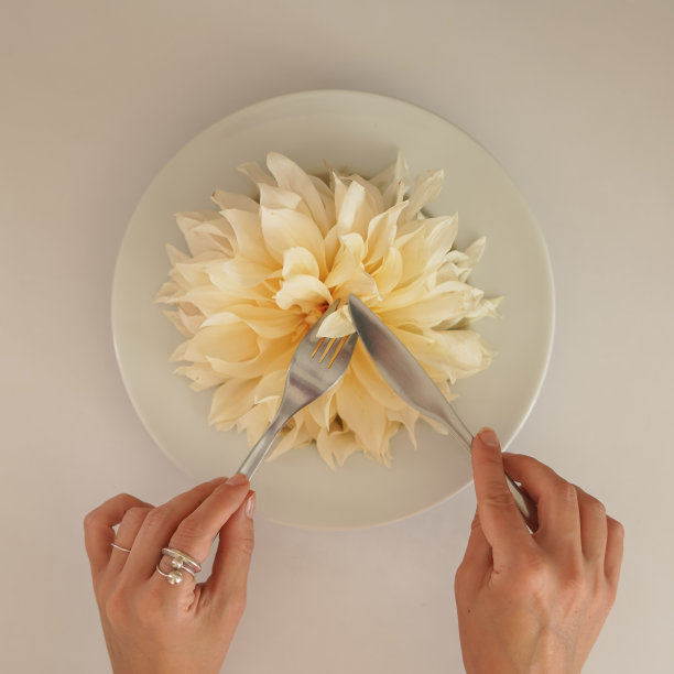 漂亮的大丽花在白色盘子与手图片下载