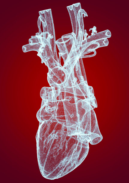 心脏，心室，人体解剖学，心室。人体的部分。x射线的观点。住房和城市发展部。先进的科学设备。全息图。扫描仪图片下载