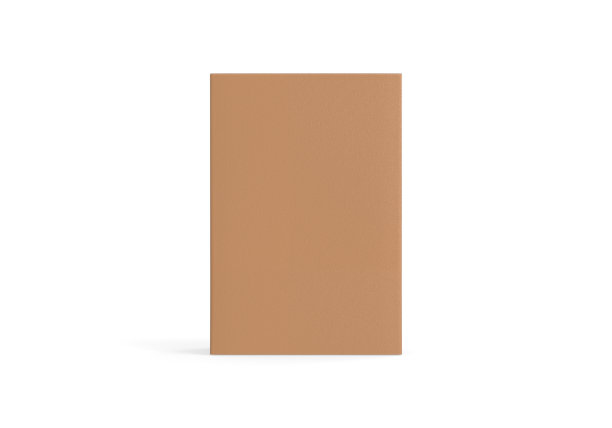 棕色牛皮纸纸盒模型，纸板包装盒模型模板上孤立的白色背景，3d插图图片下载